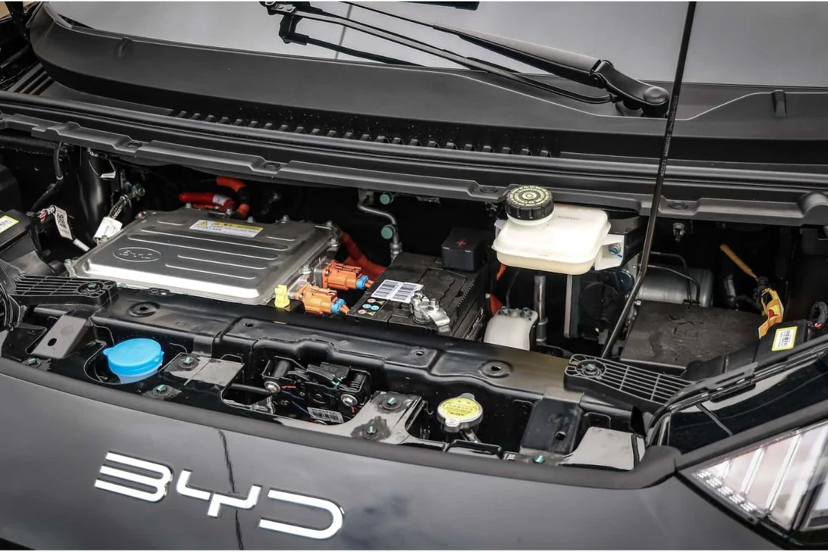 Traseira do BYD Dolphin Mini